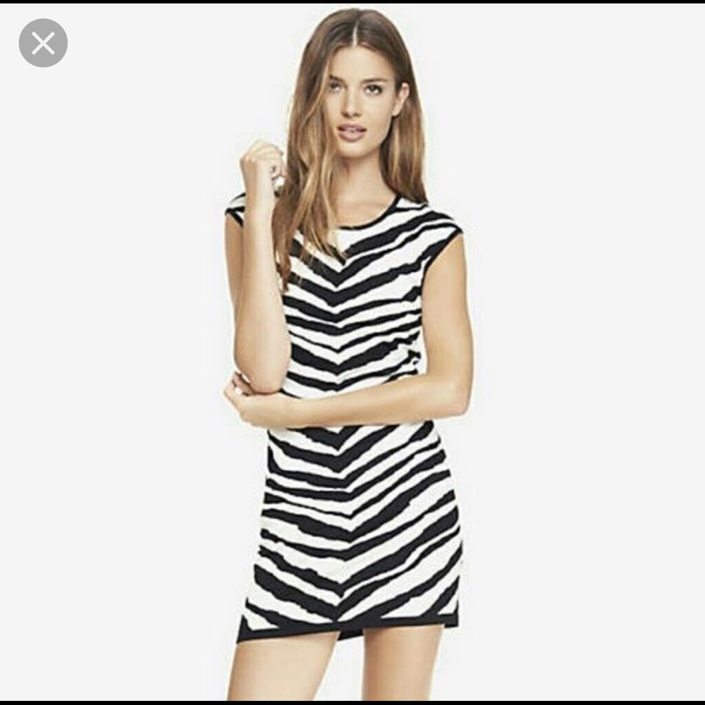 NWT EXPRESS Zebra Sweater Bodycon Dress
